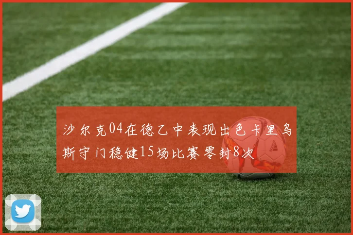 沙尔克04在德乙中表现出色卡里乌斯守门稳健15场比赛零封8次