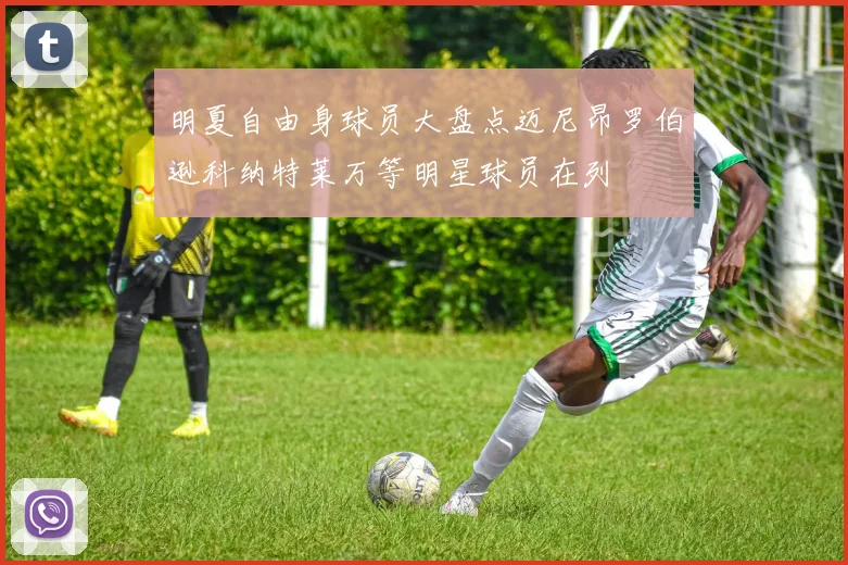 明夏自由身球员大盘点迈尼昂罗伯逊科纳特莱万等明星球员在列