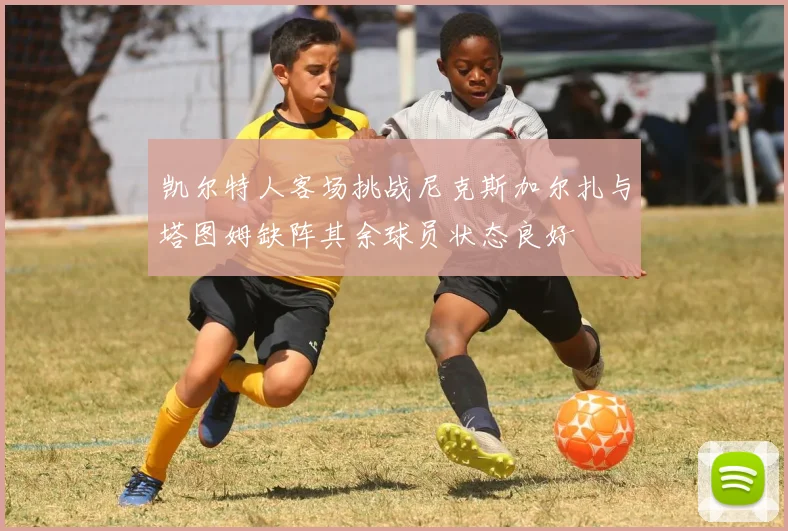 凯尔特人客场挑战尼克斯加尔扎与塔图姆缺阵其余球员状态良好