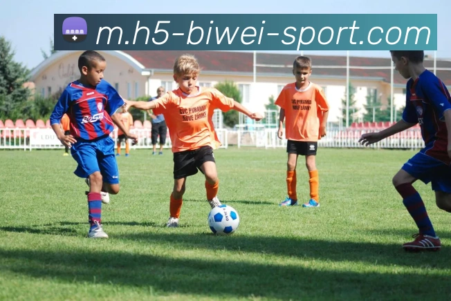 必威体育平台生态图